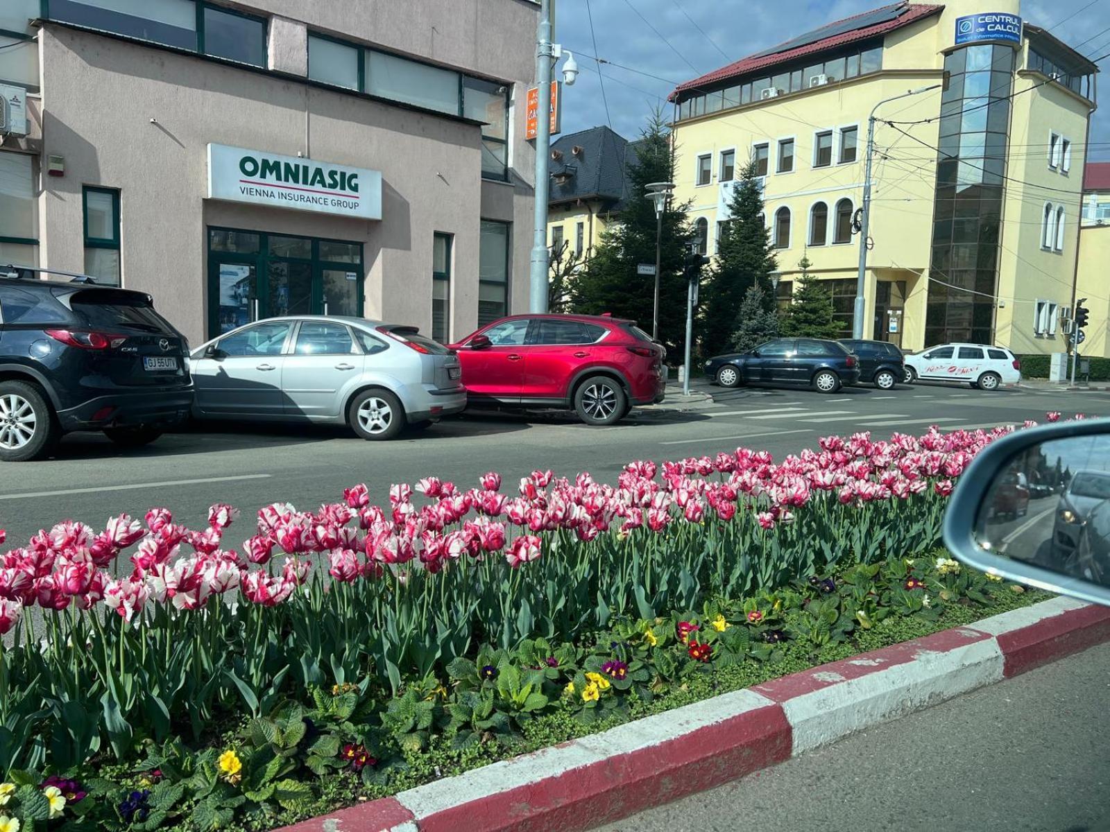 Central-Home Târgu Jiu Zewnętrze zdjęcie